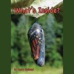 Whats Inside?, Mary Holland