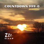 Countdown 9990, ZZZ Sleep