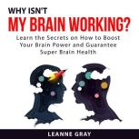 Why Isnt My Brain Working? Learn the..., Leanne Gray