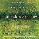 The Soul's Slow Ripening: 12 Celtic Practices for Seeking the Sacred, Christine Valters Paintner