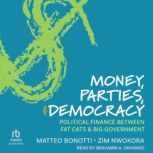 Money, Parties, and Democracy, matteo Bonotti