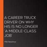 A Career Truck Driver On Why His Is N..., PBS NewsHour