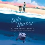 Safe Harbor, Padma Venkatraman