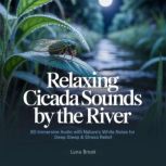 Relaxing Cicada Sounds by the River, Luna Brook