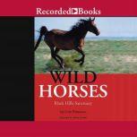 Wild Horses Black Hills Sanctuary, Cris Peterson
