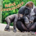 Animal Communication, Abbie Dunne