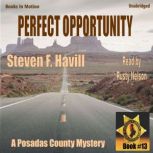 Perfect Opportunity, Steven F Havill