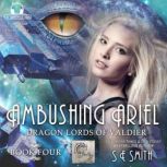 Ambushing Ariel, S.E. Smith