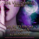 Secrets From the Grave, B.L. Brunnemer