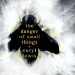 The Danger of Small Things, Caryl Lewis