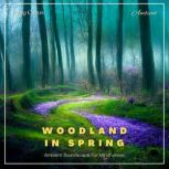 Woodland in Spring, Greg Cetus