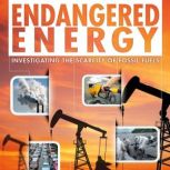 Endangered Energy, Rani Iyer