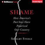Shame, Shelby Steele