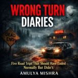 WRONG TURN DIARIES, AMULYA MISHRA