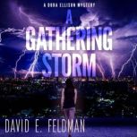 A Gathering Storm A Murder Mystery T..., David E. Feldman