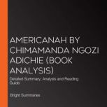 Americanah by Chimamanda Ngozi Adichi..., Bright Summaries