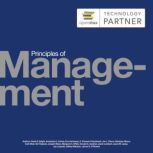 Principles of Management, David S. Bright