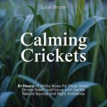 Calming Crickets, Luna Brook