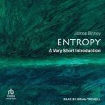 Entropy, James Binney