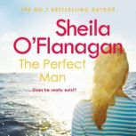 The Perfect Man, Sheila OFlanagan