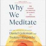 Why We Meditate, Daniel Goleman
