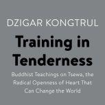 Training in Tenderness Buddhist Teachings on Tsewa, the Radical Openness of Heart That Can Change the  World, Dzigar Kongtrul