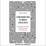 Confronting Climate Gridlock How Diplomacy, Technology, and Policy Can Unlock a Clean Energy Future, Daniel S. Cohan