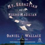 Mr. Sebastian and the Negro Magician, Daniel Wallace