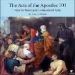 The Acts of the Apostles 101, Laurie Brink