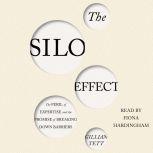 The Silo Effect The Peril of Expertise and the Promise of Breaking Down Barriers, Gillian Tett