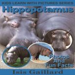 Hippopotamus, Isis Gaillard