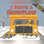 I Drive a Snowplow, Sarah Bridges, PhD