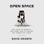 Open Space, David Ariosto