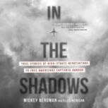 In the Shadows, Mickey Bergman