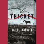 The Thicket, Joe R. Lansdale