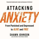 Attacking Anxiety, Shawn Johnson