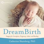 DreamBirth, Catherine Shainberg, PhD