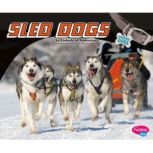 Sled Dogs, Kimberly Hutmacher