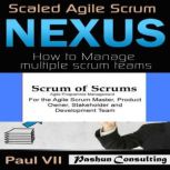 Agile Project Management Box Set Sca..., Paul VII