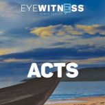 Eyewitness Bible Series Acts, Christian History Institute
