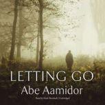 Letting Go, Abe Aamidor