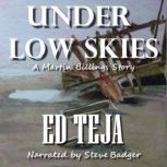 Under Low Skies A Caribbean Thriller, Ed Teja
