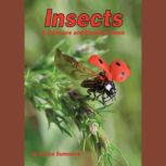 Insects A Compare and Contrast Book, Aszya Summers