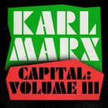 Capital Volume 3, Karl Marx