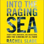 Into the Raging Sea Thirty-Three Mariners, One Megastorm, and the Sinking of the El Faro, Rachel Slade