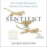 Sentient, Jackie Higgins