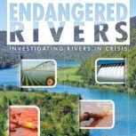 Endangered Rivers, Rani Iyer