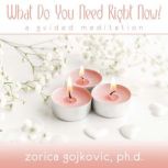 What Do You Need Right Now?, Zorica Gojkovic