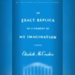 An Exact Replica of a Figment of My Imagination A Memoir, Elizabeth McCracken