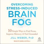 Overcoming StressInduced Brain Fog, PhD Weber
